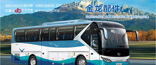 汽車火花塞市場分析 廠家、經銷商、維修廠地址、價格及北邁網汽后通在小微型客車領域的應用
